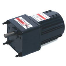 E9I40PXL 40 W 1 x 220 V AC 60 rpm ExceM Redüktörlü Motor